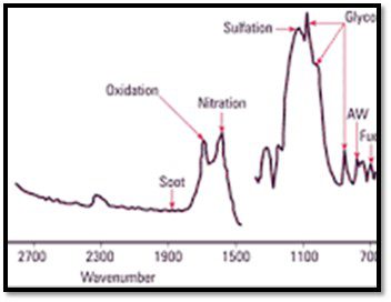 FITR Spectra