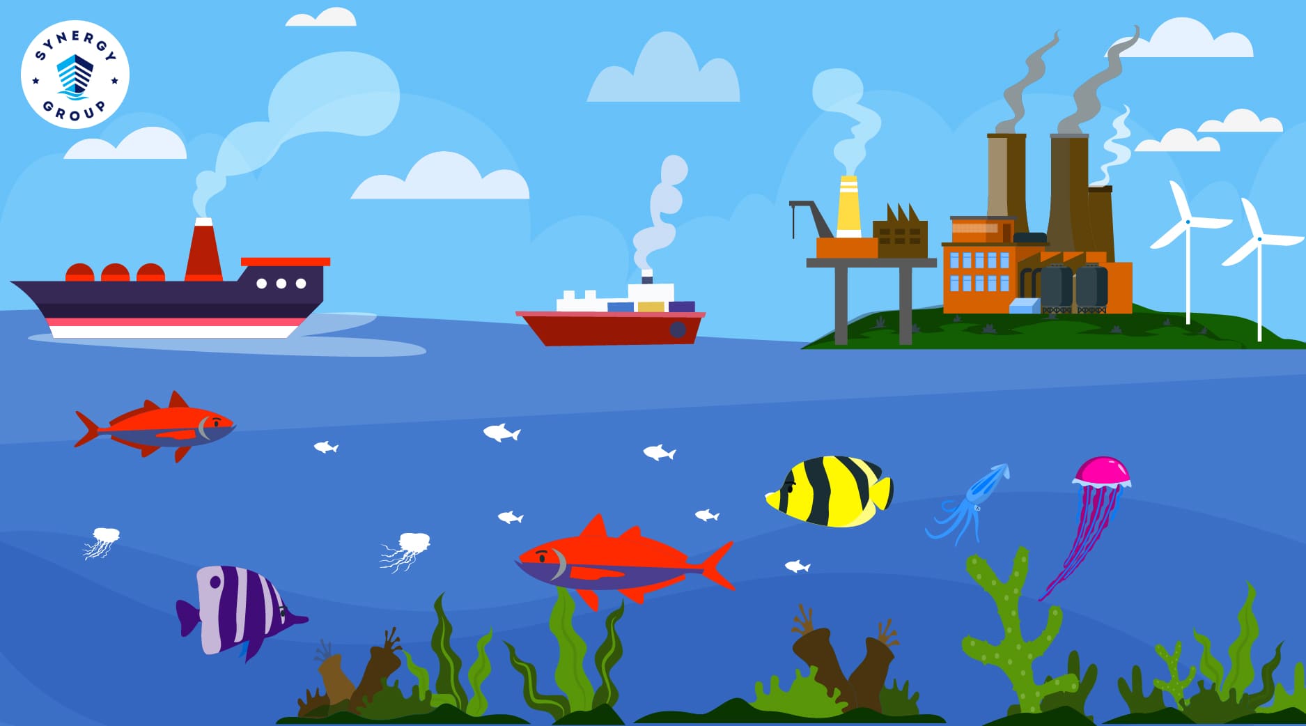 The Blue Economy : Trade Allied to Conservation